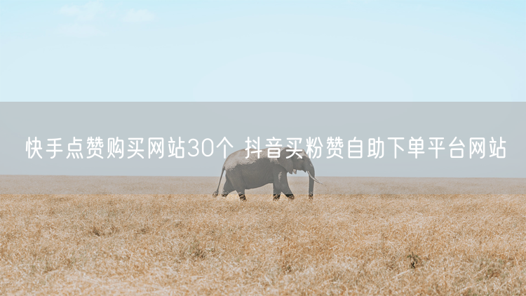 快手点赞购买网站30个 抖音买粉赞自助下单平台网站