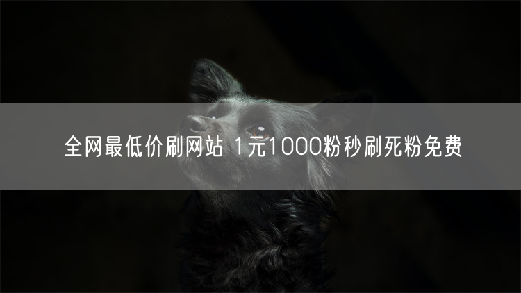 全网最低价刷网站 1元1000粉秒刷死粉免费
