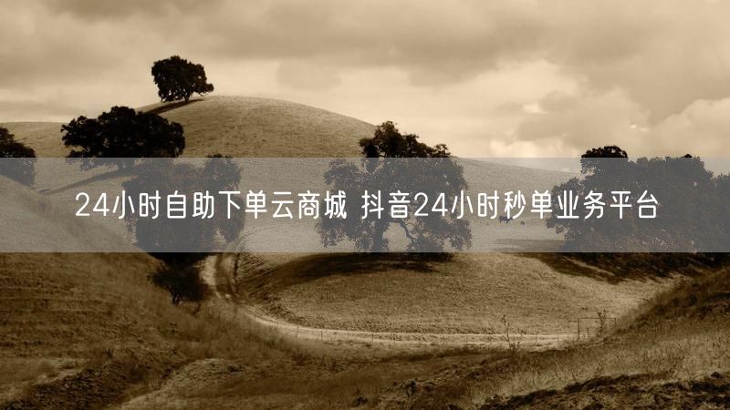 24小时自助下单云商城 抖音24小时秒单业务平台