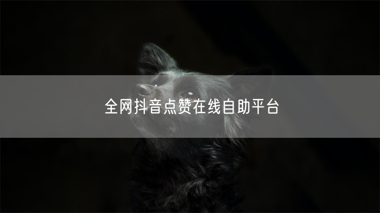 全网抖音点赞在线自助平台