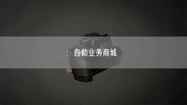 自助业务商城