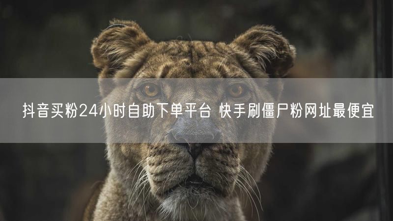 抖音买粉24小时自助下单平台 快手刷僵尸粉网址最便宜