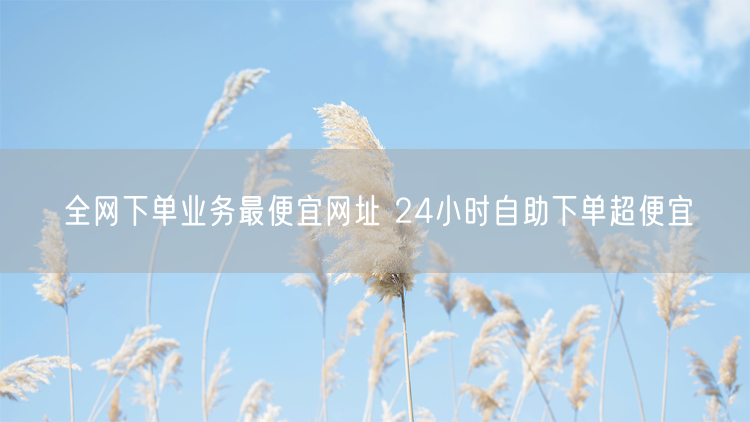 全网下单业务最便宜网址 24小时自助下单超便宜