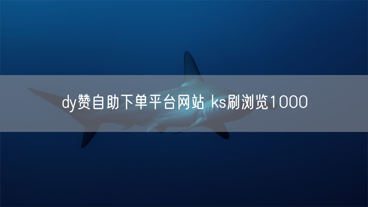 dy赞自助下单平台网站 ks刷浏览1000