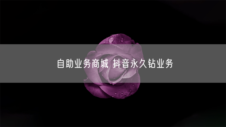 自助业务商城 抖音永久钻业务