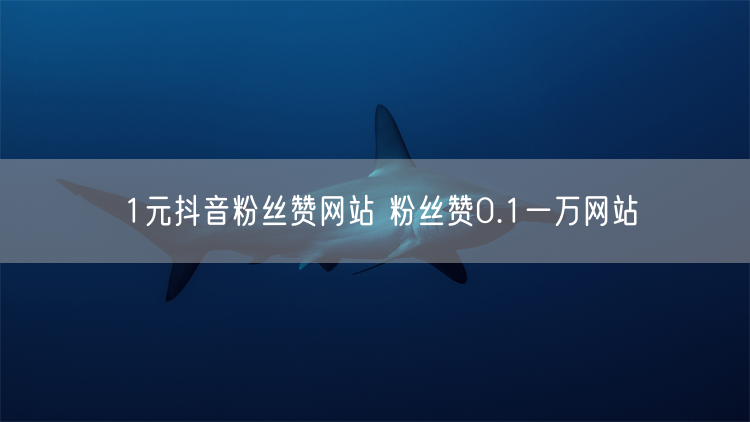 1元抖音粉丝赞网站 粉丝赞0.1一万网站