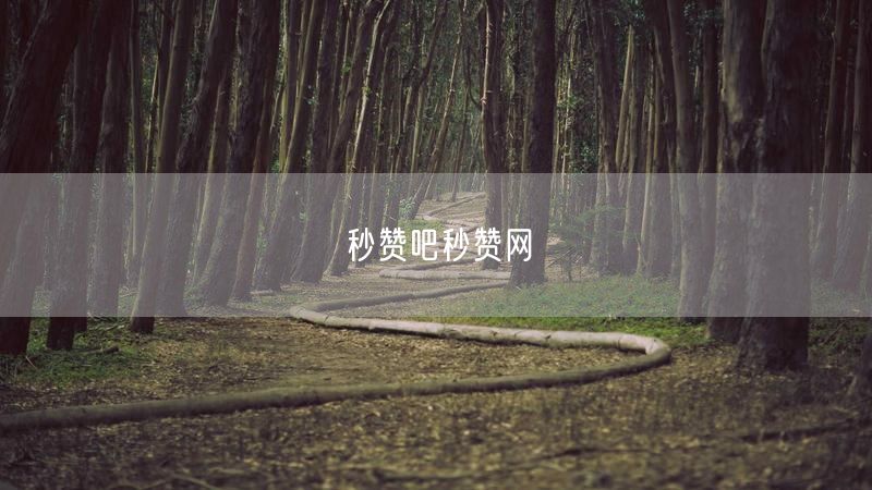 秒赞吧秒赞网