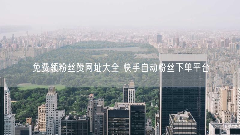 免费领粉丝赞网址大全 快手自动粉丝下单平台