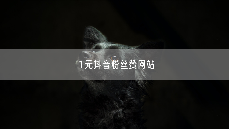 1元抖音粉丝赞网站