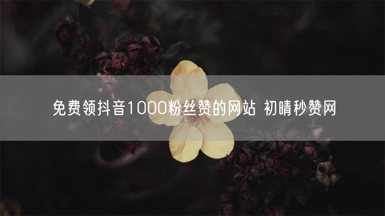 免费领抖音1000粉丝赞的网站 初晴秒赞网