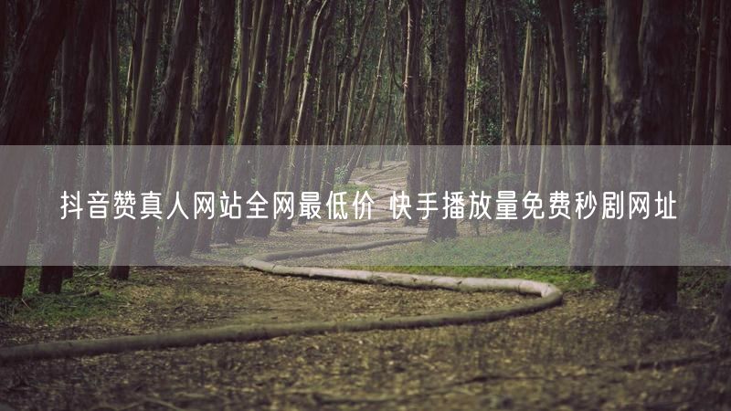 抖音赞真人网站全网最低价 快手播放量免费秒剧网址