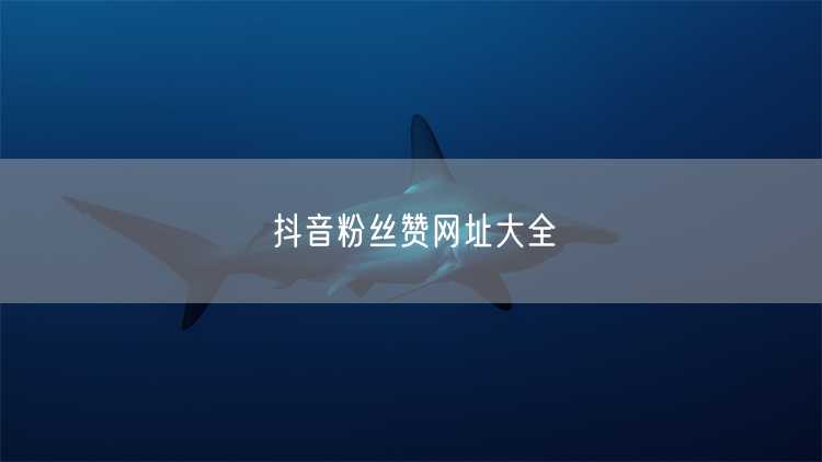 抖音粉丝赞网址大全