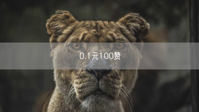 0.1元100赞