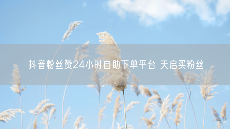 抖音粉丝赞24小时自助下单平台 天启买粉丝