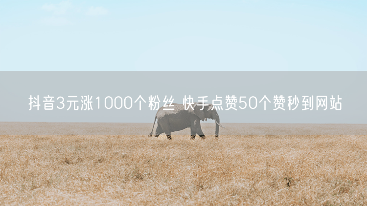 抖音3元涨1000个粉丝 快手点赞50个赞秒到网站