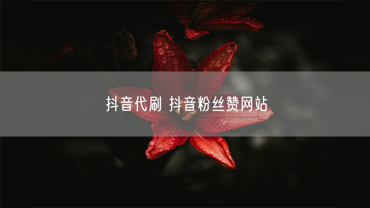 抖音代刷 抖音粉丝赞网站
