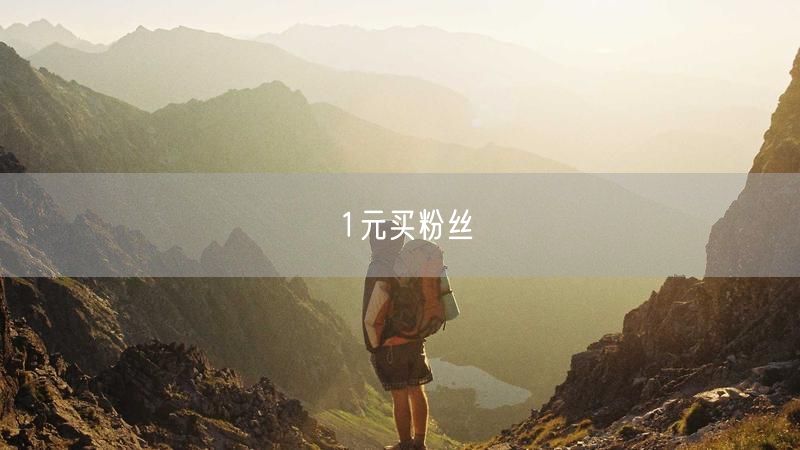 1元买粉丝
