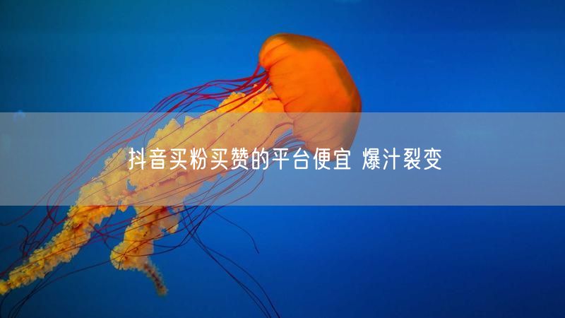 抖音买粉买赞的平台便宜 爆汁裂变