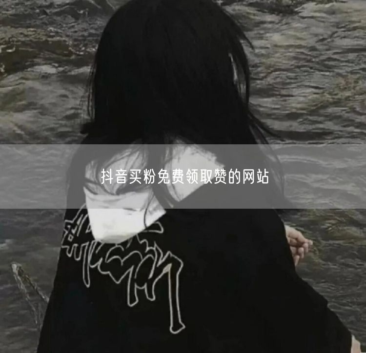 抖音买粉免费领取赞的网站