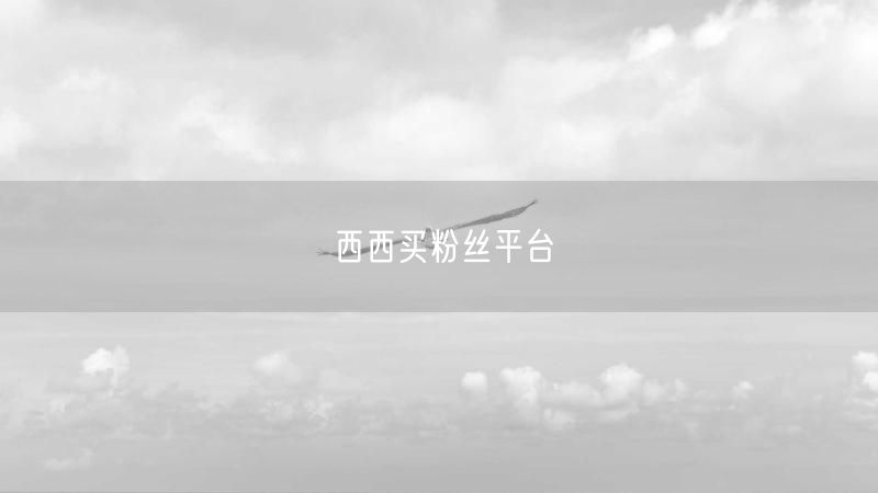 西西买粉丝平台