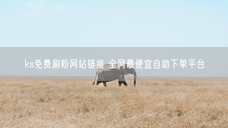 ks免费刷粉网站链接 全网最便宜自助下单平台