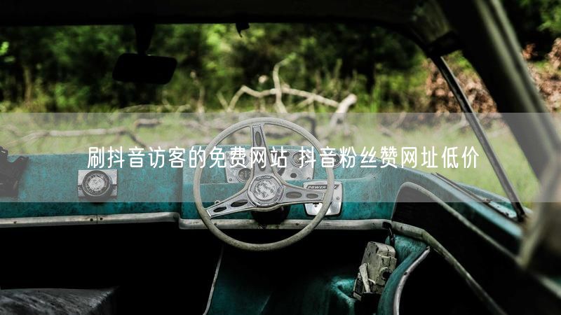 刷抖音访客的免费网站 抖音粉丝赞网址低价