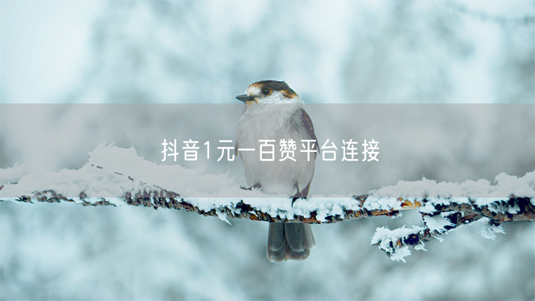抖音1元一百赞平台连接