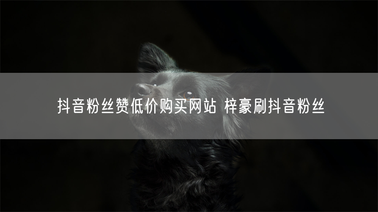 抖音粉丝赞低价购买网站 梓豪刷抖音粉丝