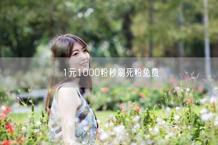 1元1000粉秒刷死粉免费