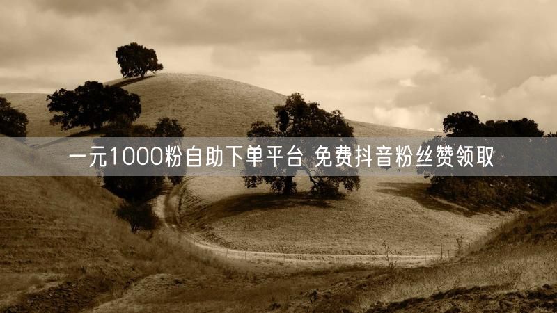 一元1000粉自助下单平台 免费抖音粉丝赞领取