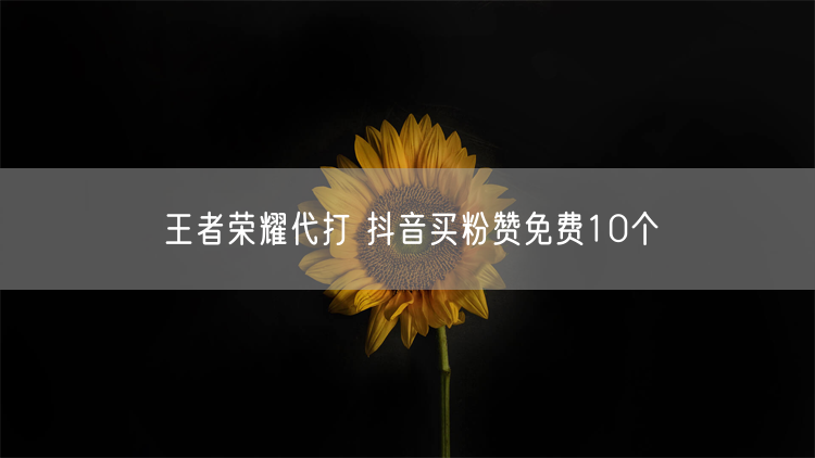 王者荣耀代打 抖音买粉赞免费10个