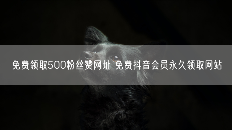 免费领取500粉丝赞网址 免费抖音会员永久领取网站