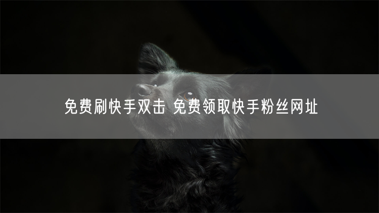 免费刷快手双击 免费领取快手粉丝网址