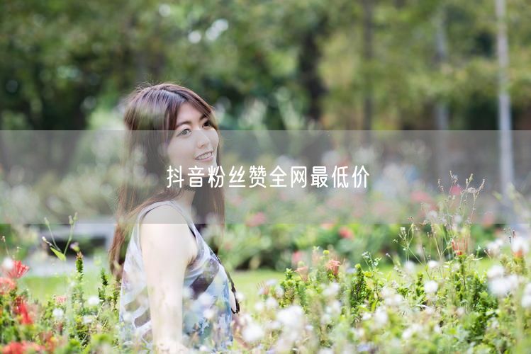 抖音粉丝赞全网最低价