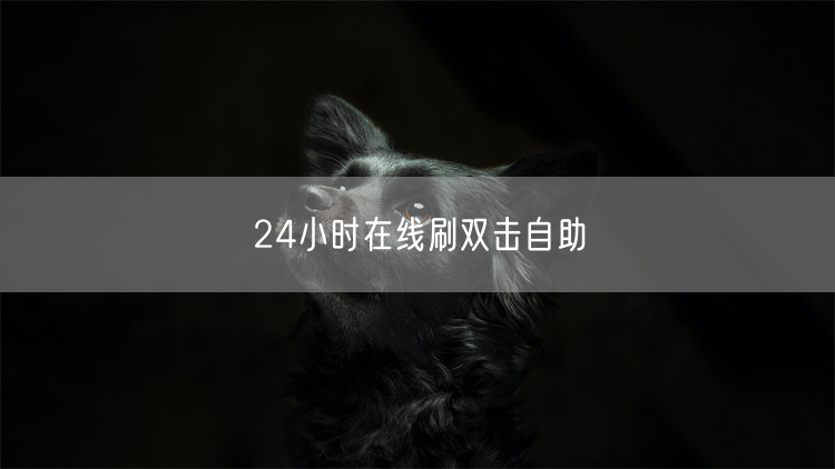 24小时在线刷双击自助