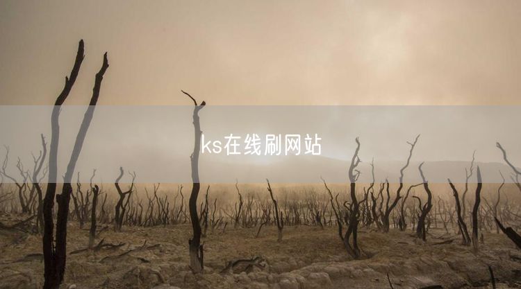 ks在线刷网站