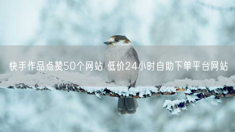 快手作品点赞50个网站 低价24小时自助下单平台网站