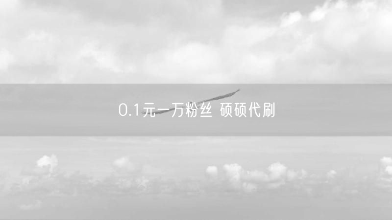 0.1元一万粉丝 硕硕代刷