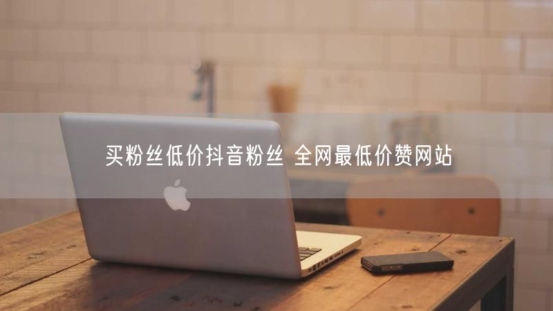 买粉丝低价抖音粉丝 全网最低价赞网站