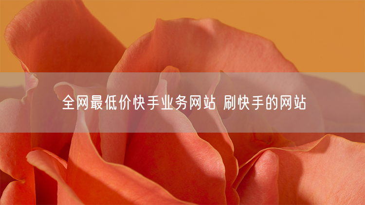 全网最低价快手业务网站 刷快手的网站