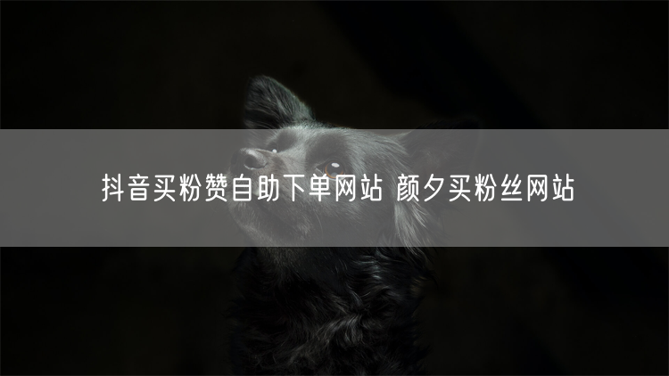抖音买粉赞自助下单网站 颜夕买粉丝网站
