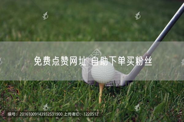 免费点赞网址 自助下单买粉丝