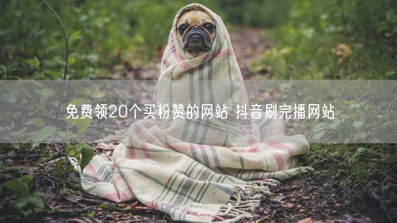 免费领20个买粉赞的网站 抖音刷完播网站