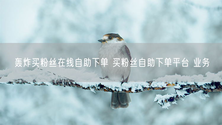 轰炸买粉丝在线自助下单 买粉丝自助下单平台 业务