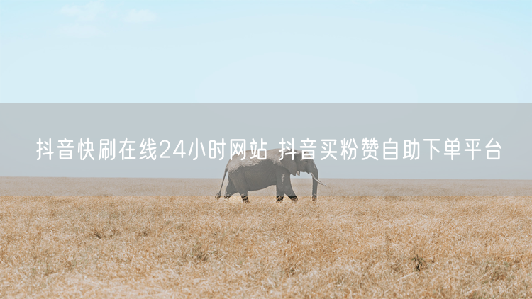 抖音快刷在线24小时网站 抖音买粉赞自助下单平台