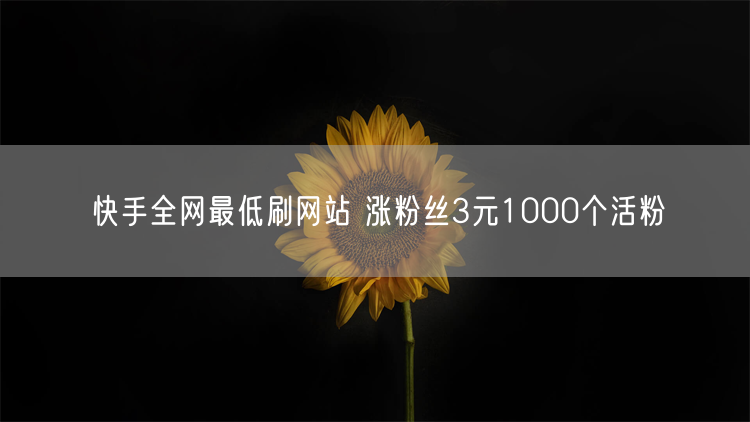 快手全网最低刷网站 涨粉丝3元1000个活粉