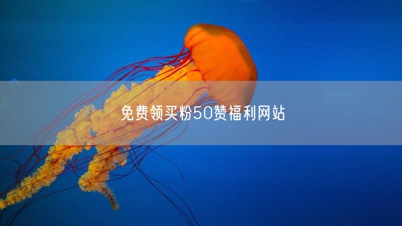 免费领买粉50赞福利网站