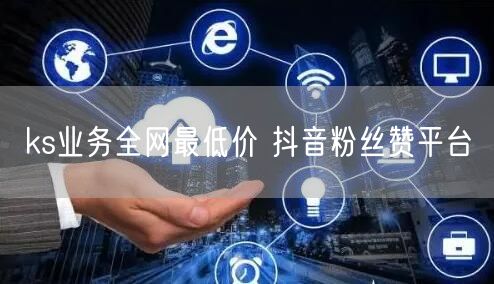ks业务全网最低价 抖音粉丝赞平台