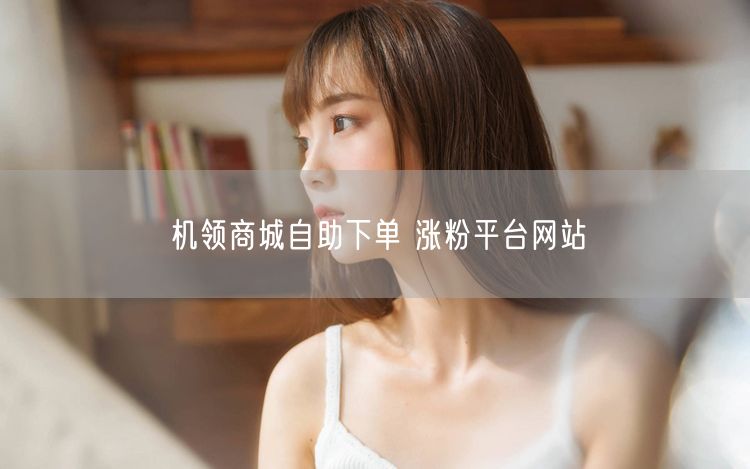 机领商城自助下单 涨粉平台网站