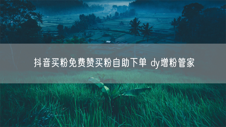 抖音买粉免费赞买粉自助下单 dy增粉管家